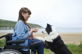 Dog Training: Come