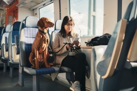 How to Travel by Train With Dogs