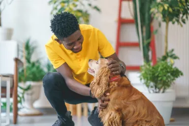 Why You Should Consider Adopting an Adult Dog