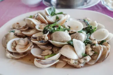 Can Dogs Eat Clams? Are Clams Safe For Dogs?