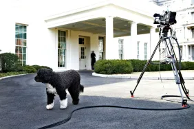 The Complete List of United States Presidents’ Dogs’ Names