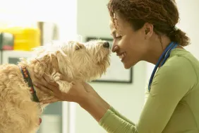 Esomeprazole For Dogs: Uses, Dosage, & Side Effects