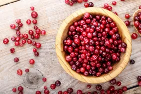 Can Dogs Eat Cranberries? Is Cranberry Safe for Dogs?