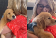 Video: Puppy Reacts To Meeting Grandma for the First Time