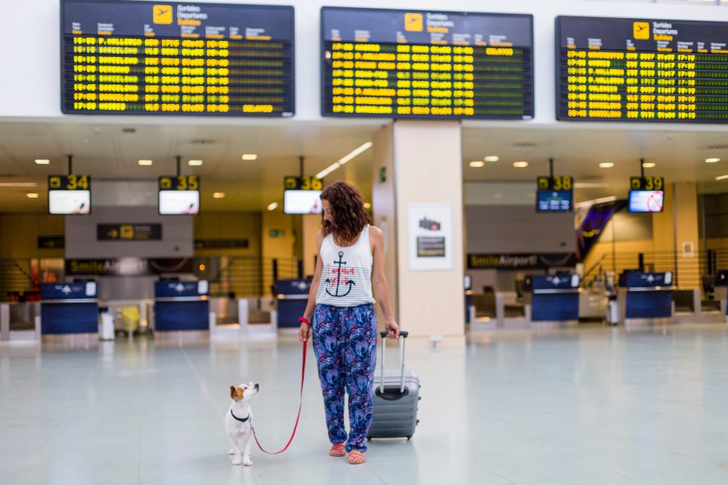gettyimages-1225834329 Woman in an airport. She is rolling her suitcase with one hand and holding a red dog leash attached to a small dog in the other.