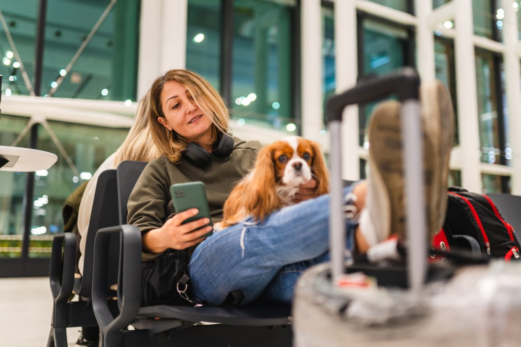 gettyimages-1463530960 Blonde woman wearing a hooded sweatshirt and jeans, sitting in an airport, her feet resting on her luggage, as she holds her tiny dog in her lap.