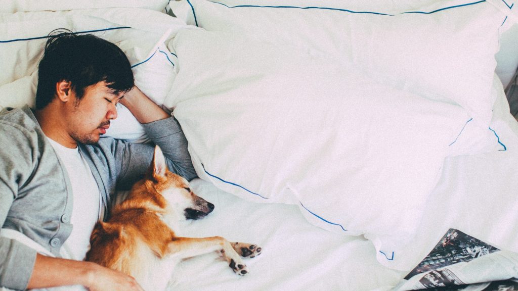 gettyimages-489562251-edited dog sleeping against human