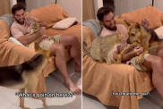 Video Captures Rescue Dog’s Reaction to Owner & Cat Cuddling