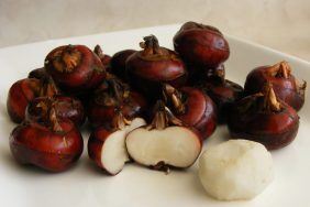 Can Dogs Eat Water Chestnuts? Are Water Chestnuts Safe For Dogs?