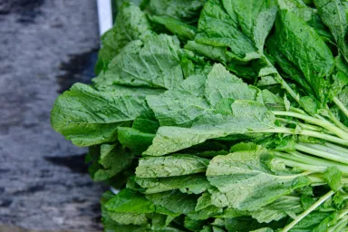 Can Dogs Eat Mustard Greens? Are Mustard Greens Safe For Dogs?