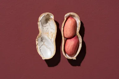 Can Dogs Eat Peanuts? Are Peanuts Safe For Dogs?