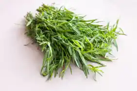 Can Dogs Eat Tarragon? Is Tarragon Safe For Dogs?