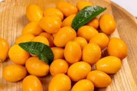 Can Dogs Eat Kumquats? Are Kumquats Safe For Dogs?