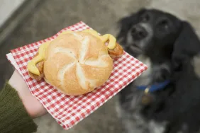 Can Dogs Eat Bratwurst? Is Bratwurst Safe For Dogs?