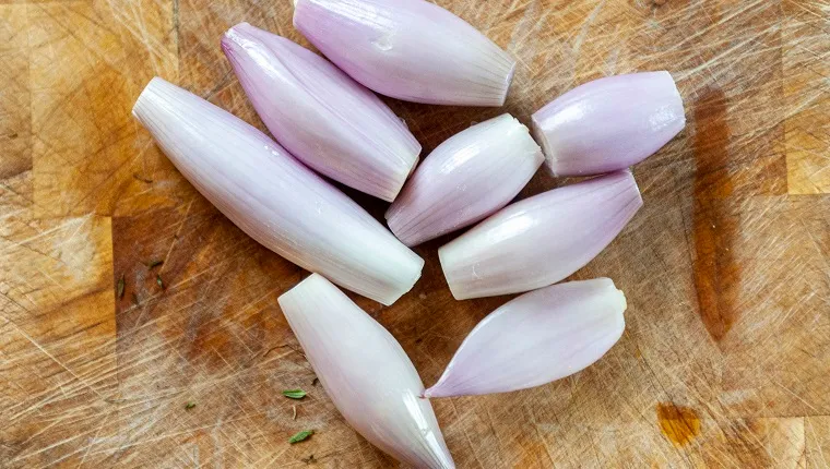 can-dogs-eat-shallots-2 A close-up aerial view of Peeled banana shallots on a chopping board. Banana shallots (echalion) are the largest variety and are named for their size. They are a cross between an onion and a shallot.