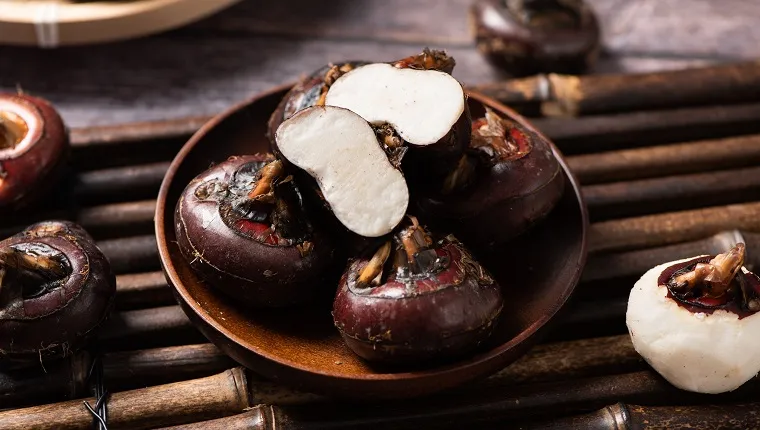 can-dogs-eat-water-chestnuts-2 water chestnut with clipping path on table
