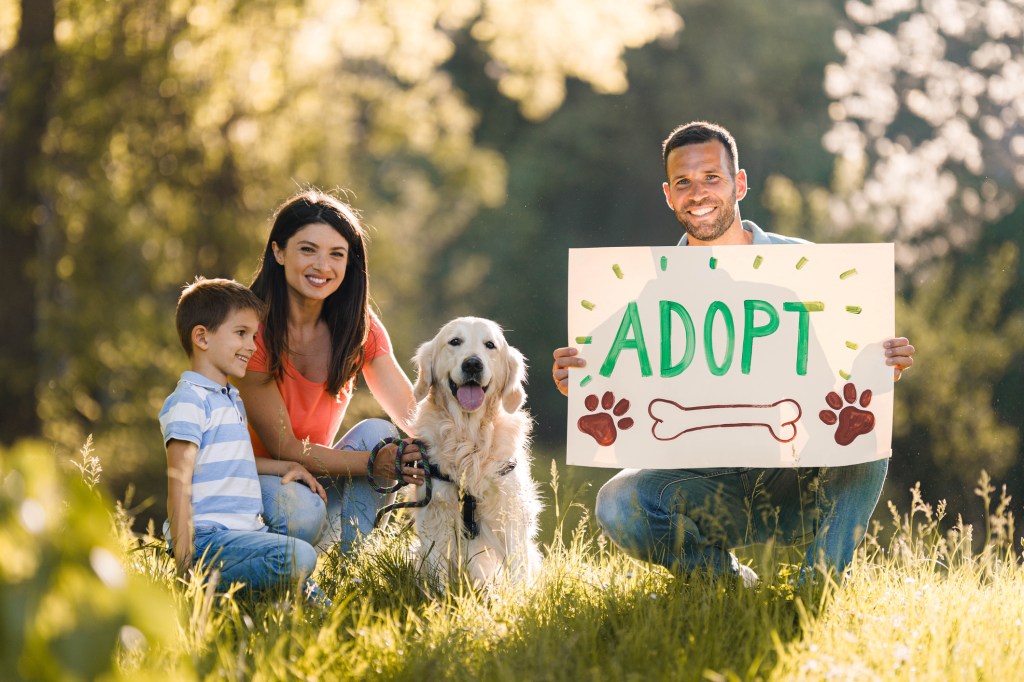 gettyimages-1322461027 Happy family spending a spring day with their adopted golden retriever in nature, instead of one purchased from a place with puppies for sale. Parents are looking at camera while man is holding adopt sign.