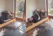Video: Bulldog Is the Perfect Pilates Buddy in Workout Session With Dad