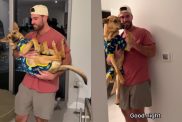 Video: Rescue Dog Likes Toddler Treatment & That Too In Jammies